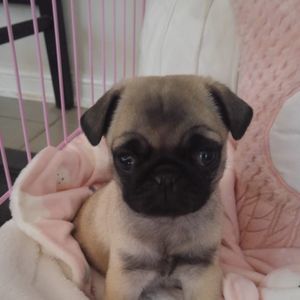 Meet your Posher, Stacey